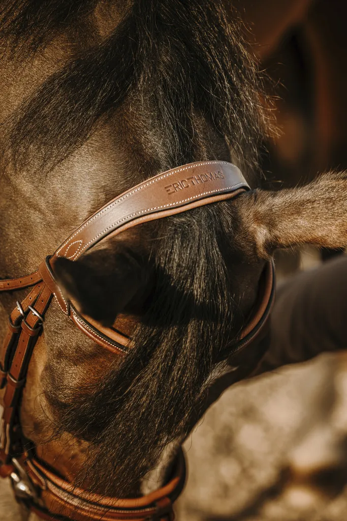 Bridon Eric Thomas Work en Cuir de Buffle Havane - Taille Cob Cavalier - 3