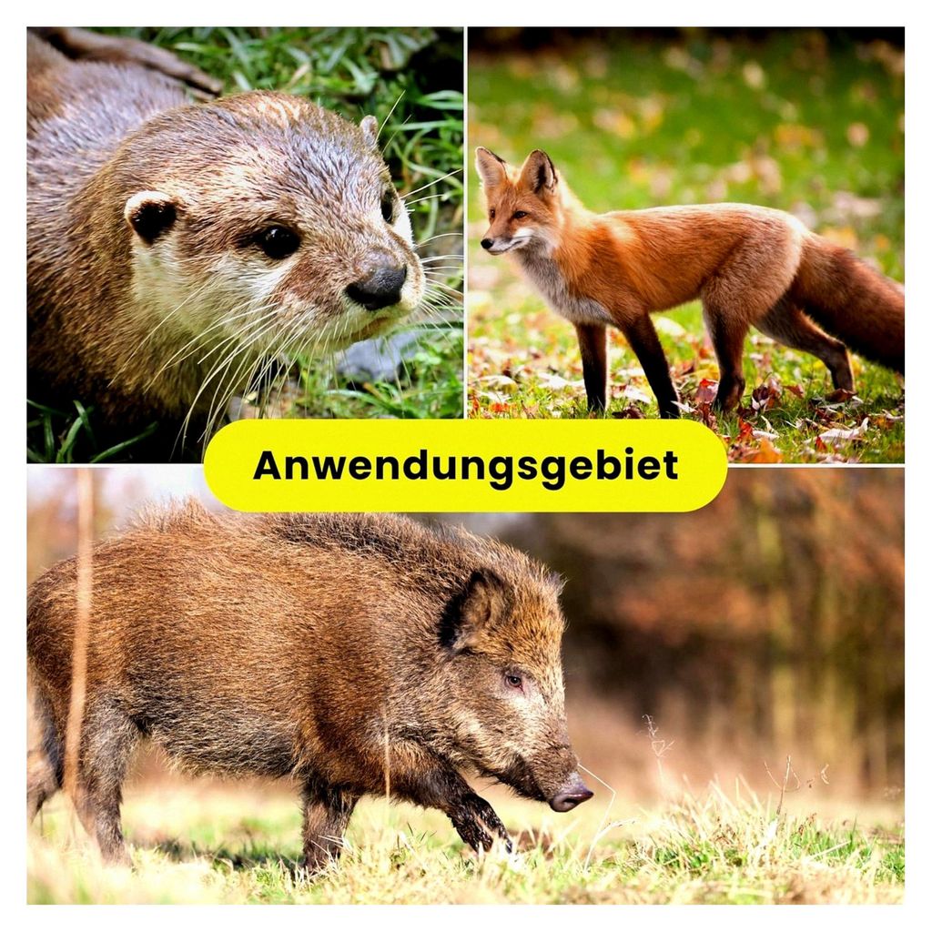 Weidezaunlitze 250m für Wildschutz mit Kupferleiter für Wildschweine und Ziegen