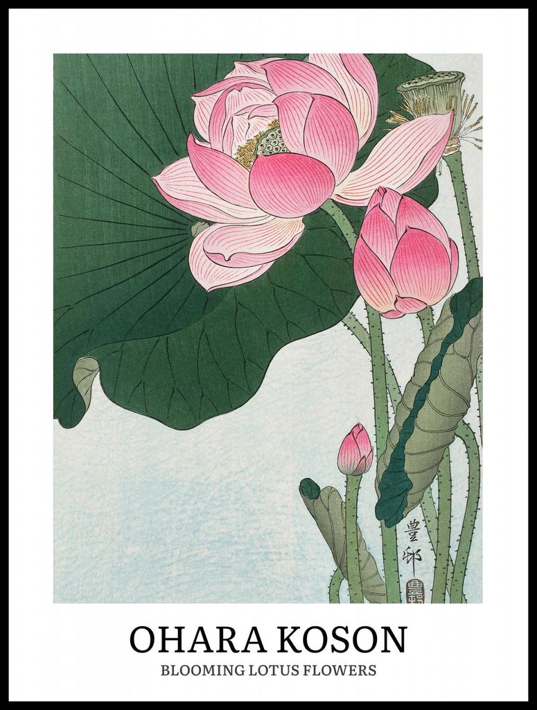 Plakat 60x80cm Design Lotus, Vintage Koson für das Wohnzimmer