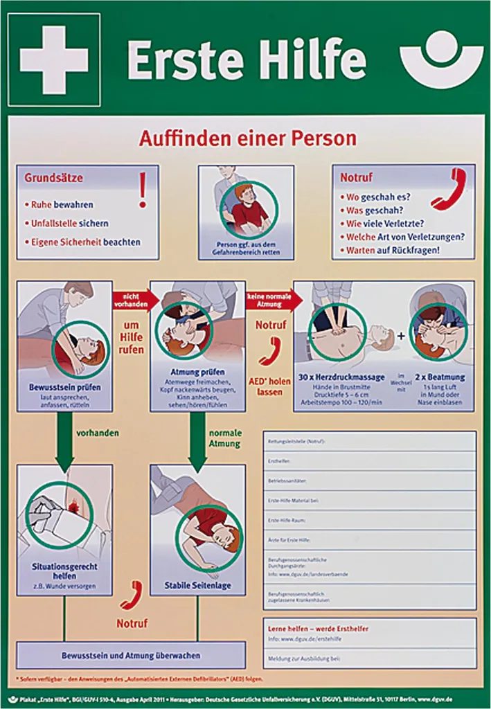 Poster Guida Pronto Soccorso SÖHNGEN 8001034 Plastica A2 - Offerta
