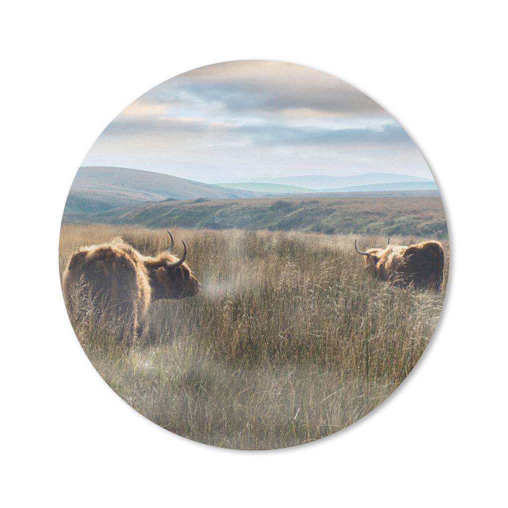 MuchoWow Mauspad Mousepad Schottische Highlander - Nebel - Gras 50x50 cm - Mousepads - Maus Mat - Pad - Mausunterlage - Vinyl