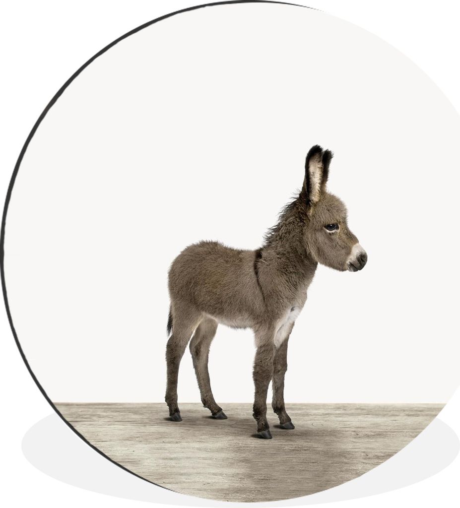 MuchoWow Aluminium Wandkreis Esel - Tiere - Kinder - Niedlich - Mädchen - Jungen Ø 30 cm Wanddeko Modern Wohnzimmer - Wand Bild - Wohnzimmer - ...