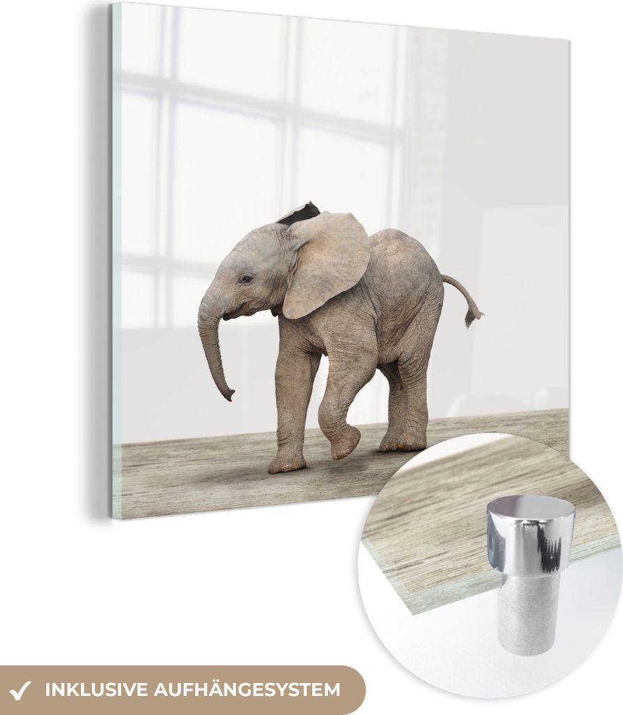 MuchoWow Glasbilder - Bilder auf Wandbild - Foto auf Glas Baby-Elefant - Tiere - Kinder - Mädchen - Jungen 20x20 cm Wanddekoration aus Glas - Acry...