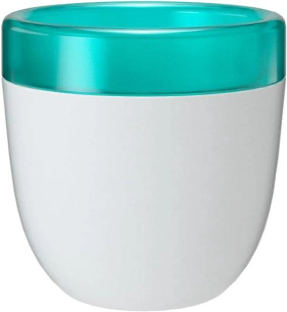 Sauvez vos succulentes avec le pot à arrosage automatique blanc design