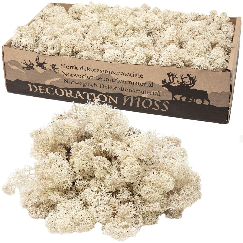 Dekorationsmaterial Islandmoos Natur 500g, 19 cm Breite, Produktbild 