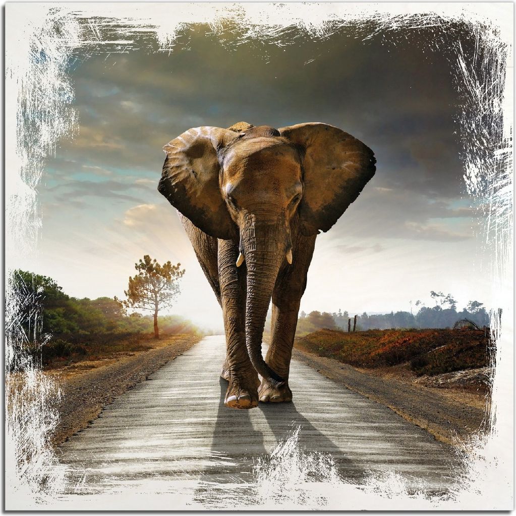 Kunstdrucke Wandbilder Holz in : Brillante Farben, Größe 50 x 50 cm Motiv Elefant bei Sonnenaufgang in Afrika