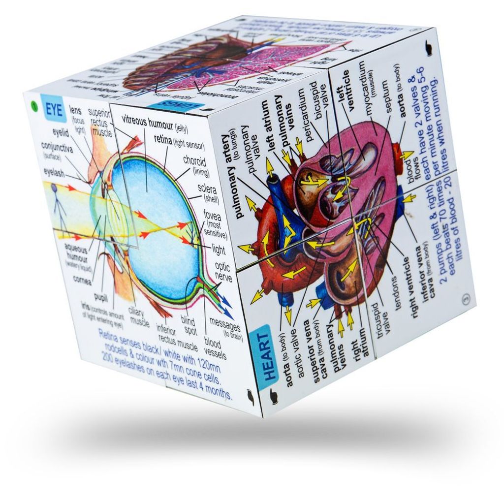 Zoobookoo Il libro in breve Il corpo umano Immagine del prodotto 