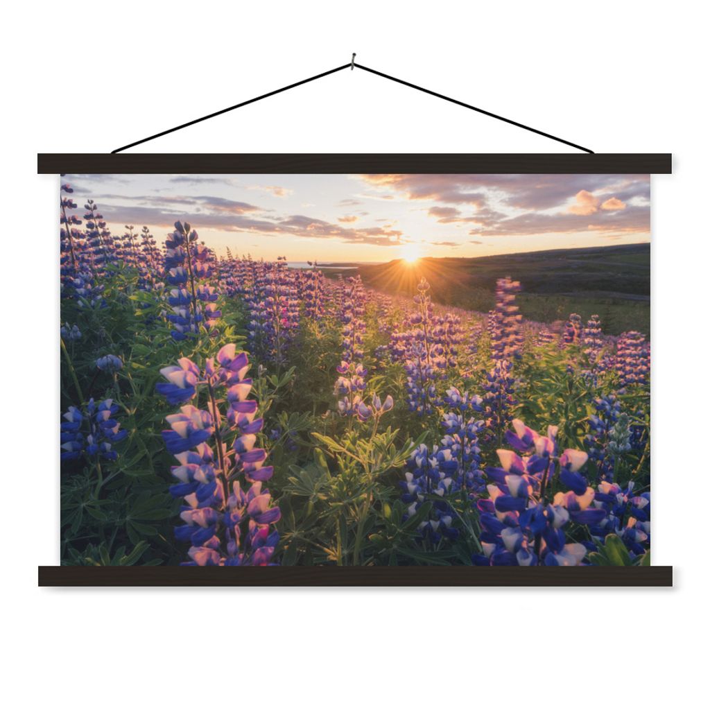 MuchoWow Textilposter Lupine - Sonne - Lila 60x40 cm mit schwarzem Rahmen - Hölzernes