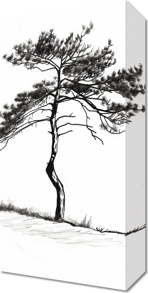 Bild 20x40cm Einsame Kiefer