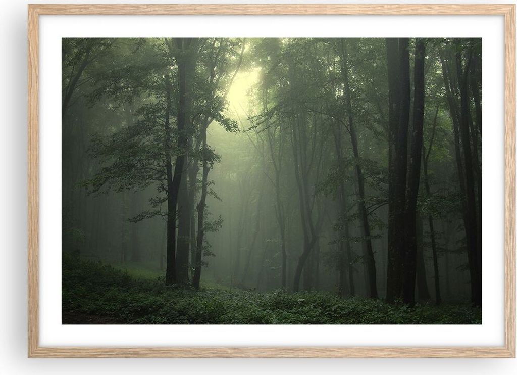 Gerahmtes Poster - Rahmen in heller Eiche - Wald Nebel Baum - 70x50 cm - Wand Bild - Wanddeko - Wandbilder - Kunstposter - Wandposter - Bilderrahme...