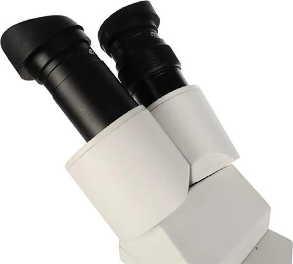 Microscope Byomic ST3LED : Fini la Fatigue Visuelle pour vos Analyses - 4