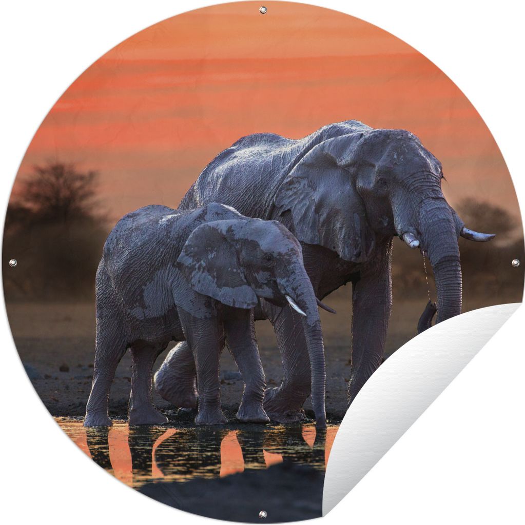 MuchoWow Gartenposter Outdoor-Poster Rund Zwei Elefanten bei Sonnenuntergang Ø 90 cm Gartendeko Rundes Poster draußen