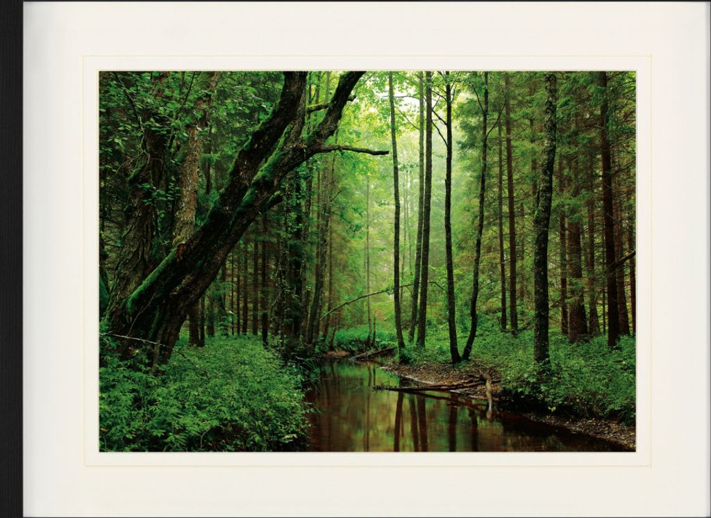 Wälder Gerahmtes Bild Mit Edlem Passepartout | Wand-Bilder | Im Bilderrahmen - Ein Ruhiger Fluss Fließt Durch Den Wald (60 x 80 cm)