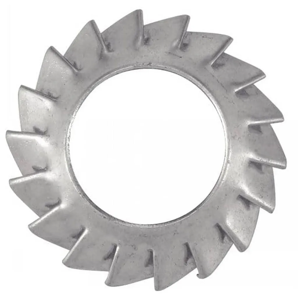 200 Rondelles Éventail AZV 10 mm NFE 25-537 en Acier Zingué par D-Work