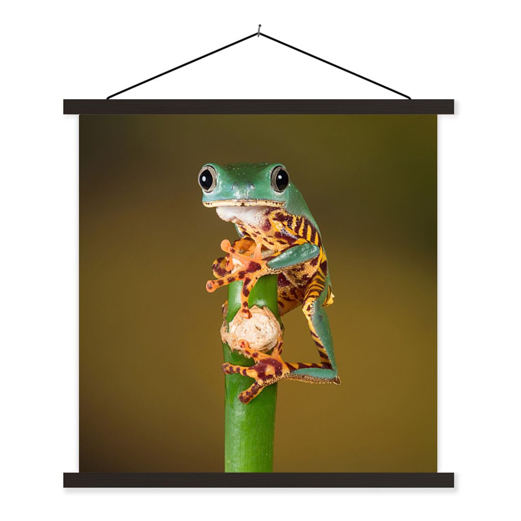 MuchoWow Textilposter Frosch auf grüner Pflanze, Nahaufnahme 40x40 cm mit schwarzem Rahmen - Fotos