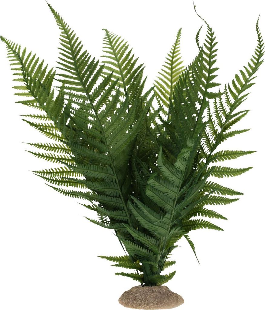 Terra Della Dekoration Farn grün, Größe: L