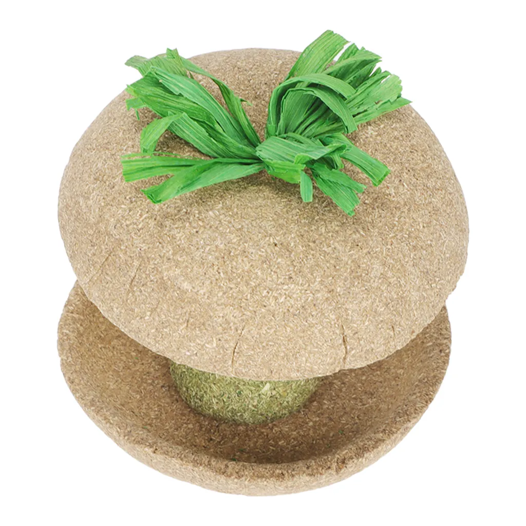 Ciotola per criceti Apple Core, giocattolo per criceti Apple Core, giocattolo da masticare per criceti Apple Core, giocattolo da masticare per criceti Apple Core, ciotola per molari per criceti Apple Core