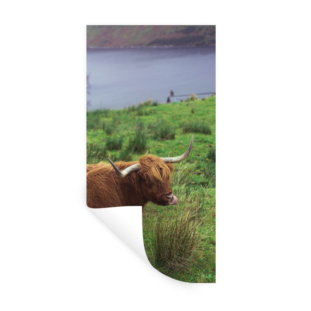 MuchoWow Wandtattoo Wandsticker Wandaufkleber Schottische Highlander - Gras - Wasser - Tiere 20x40 cm Selbstklebend und Repositionierbar - Selbst...