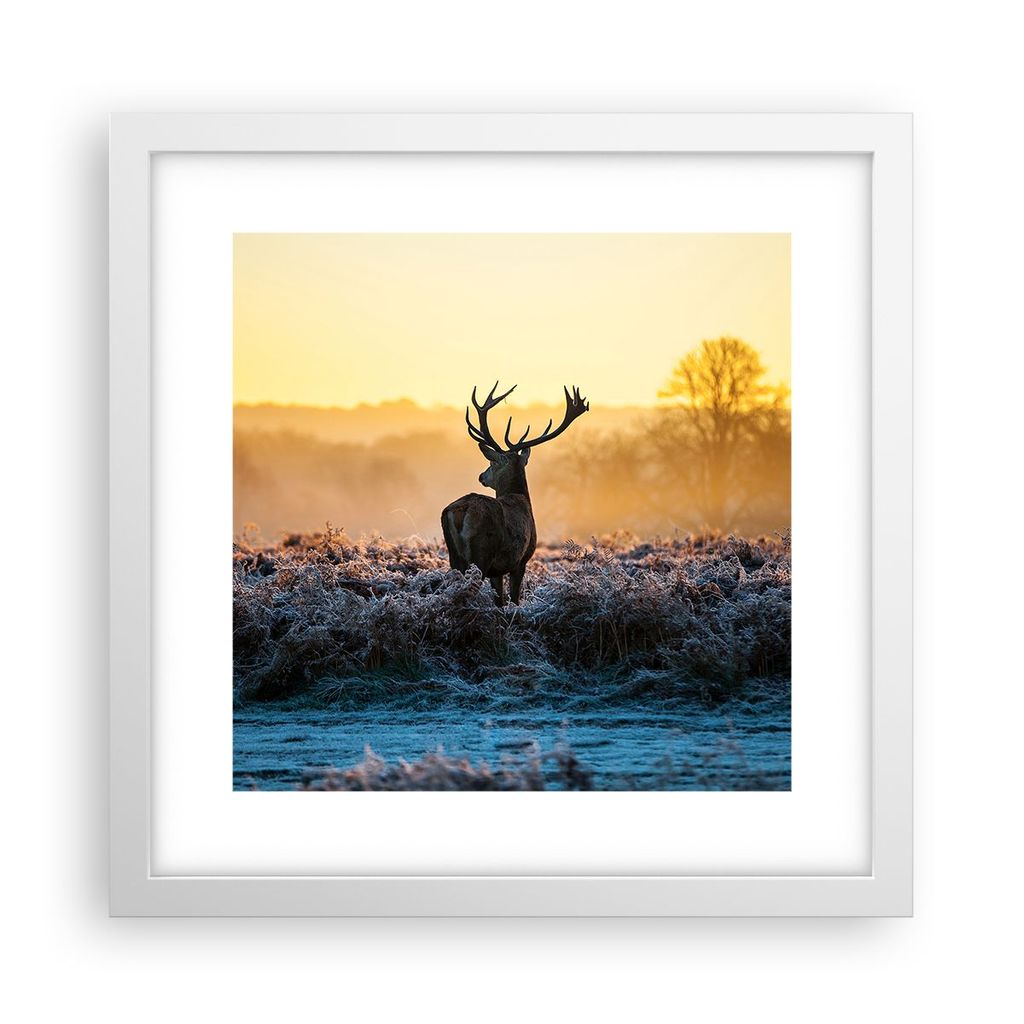 Gerahmtes Poster - Weißer Rahmen - Feld Nebel Natur Baum - 30x30 cm - Wand Bild - Wanddeko - Wandbilder - Kunstposter - Wandposter - Bilderrahmen ...
