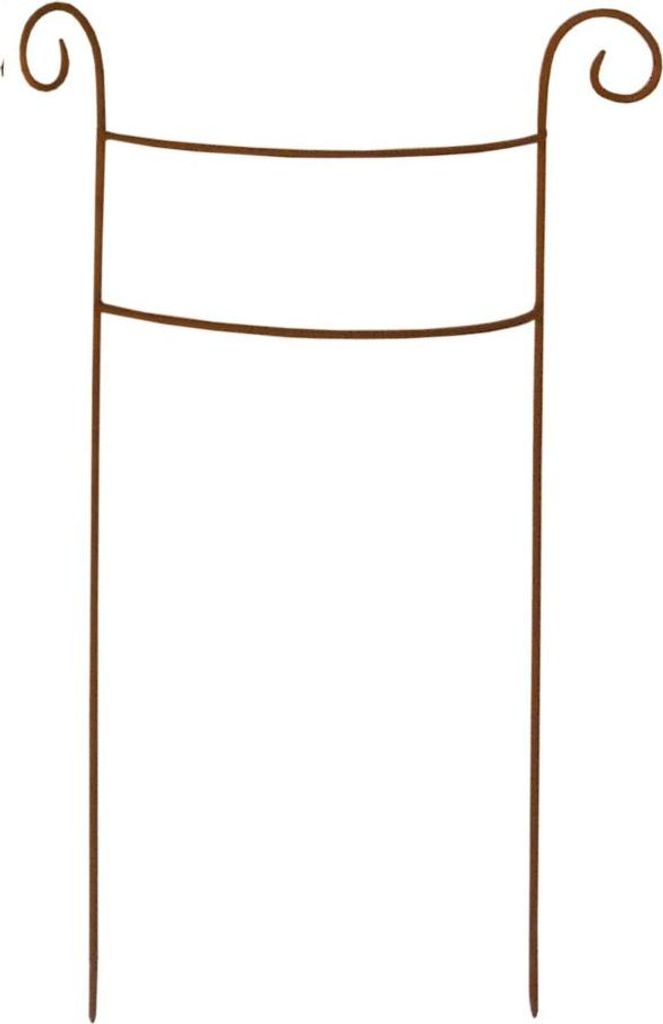 TrendLine Pflanzstütze 60cm rostoptik, 37 x 8 x 60 cm