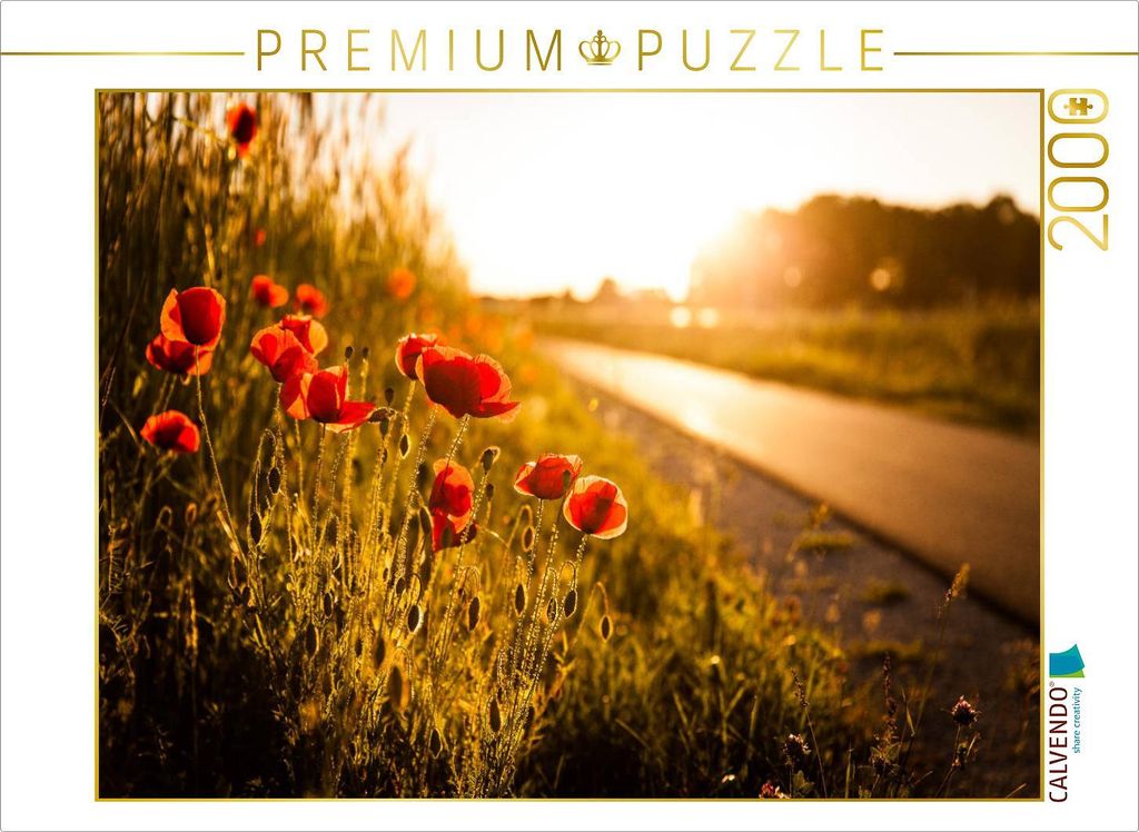 CALVENDO Puzzle Mohnblumen am Radweg zwischen Heßdorf und Großenseebach 2000 Teile Puzzle quer | 2000 Teile Lege-Größe 90x67cm Foto-Puzzle für...