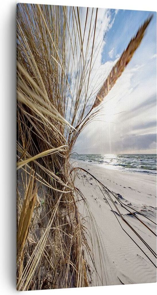 Bild auf Leinwand - Leinwandbild - Einteilig - Küste Perspektive Gras - 55x100cm - Wand Bild - Wanddeko - Wandbilder - Leinwanddruck - Bilder - Wa...