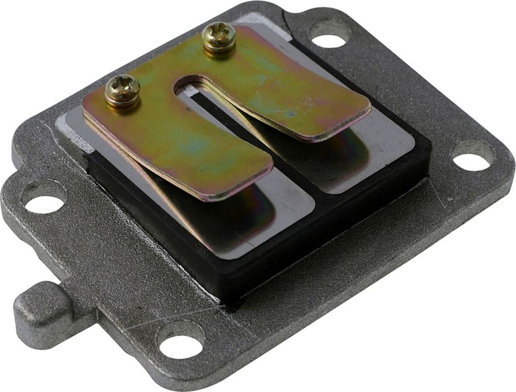Membranenblock RMS für APRILIA Amico 50cc, SR, ITTECO Cool, Produktbild 
