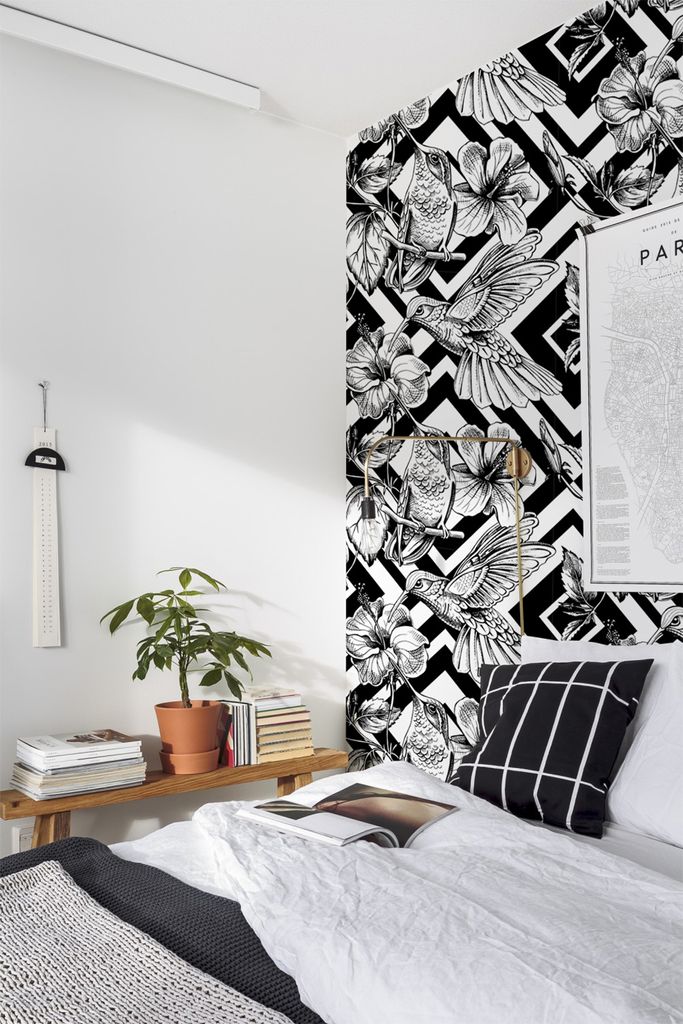 Coloray Fototapete 104x70 cm An Einer Wand Latex Latextapete - Kolibri