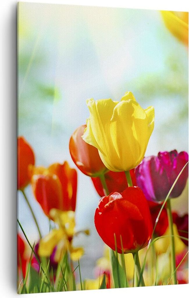 Bild auf Leinwand - Leinwandbild - Einteilig - Tulpe Blume Plantage Wiese - 80x120cm - Wand Bild - Wanddeko - Wandbilder - Leinwanddruck - Wanddeko...