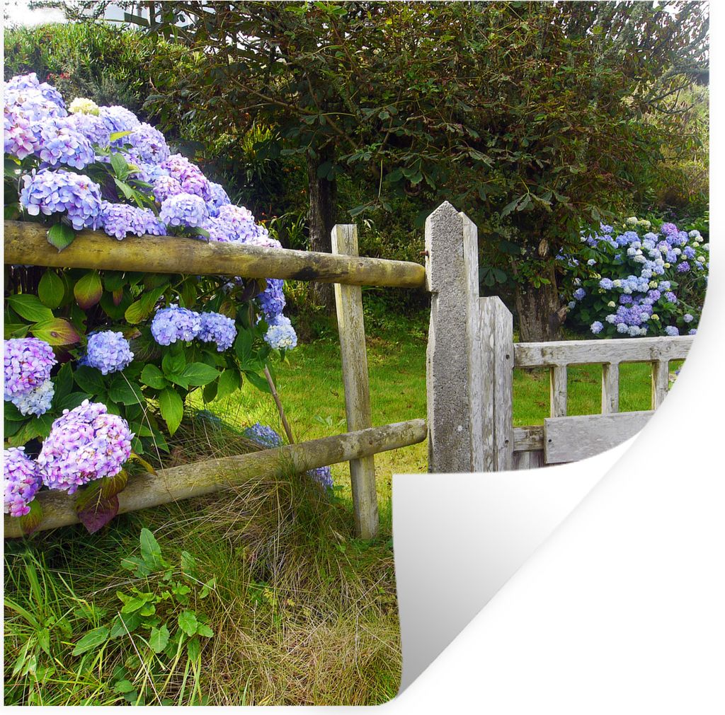 MuchoWow Wandtattoo Wandsticker Wandaufkleber Cottage-Garten mit Hortensien 50x50 cm Selbstklebend und Repositionierbar - Selbstklebend - Fototap...