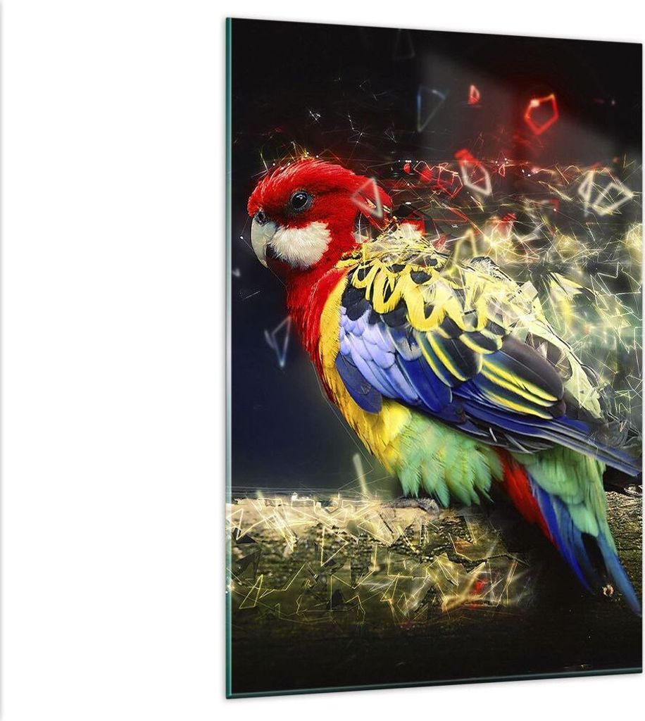 Bilder auf glas - Einteilig - Papagei Vogel Feder - 80x120cm - Glasbilder - Wandbilder - Bilder - zum Aufhängen bereit - Wanddekoration aus Glas -...