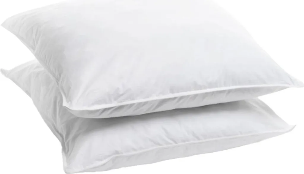 Oreiller 60x60 cm Lot de 2 Coussins de Lit Gonflants et Souples Blanches