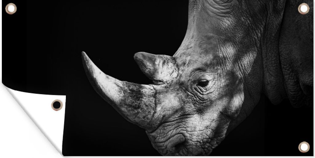 MuchoWow 160x80 cm Outdoor-Poster Gartendeko Sichtschutz Garten Poster für den Garten Rhinozeros - Tier - Licht