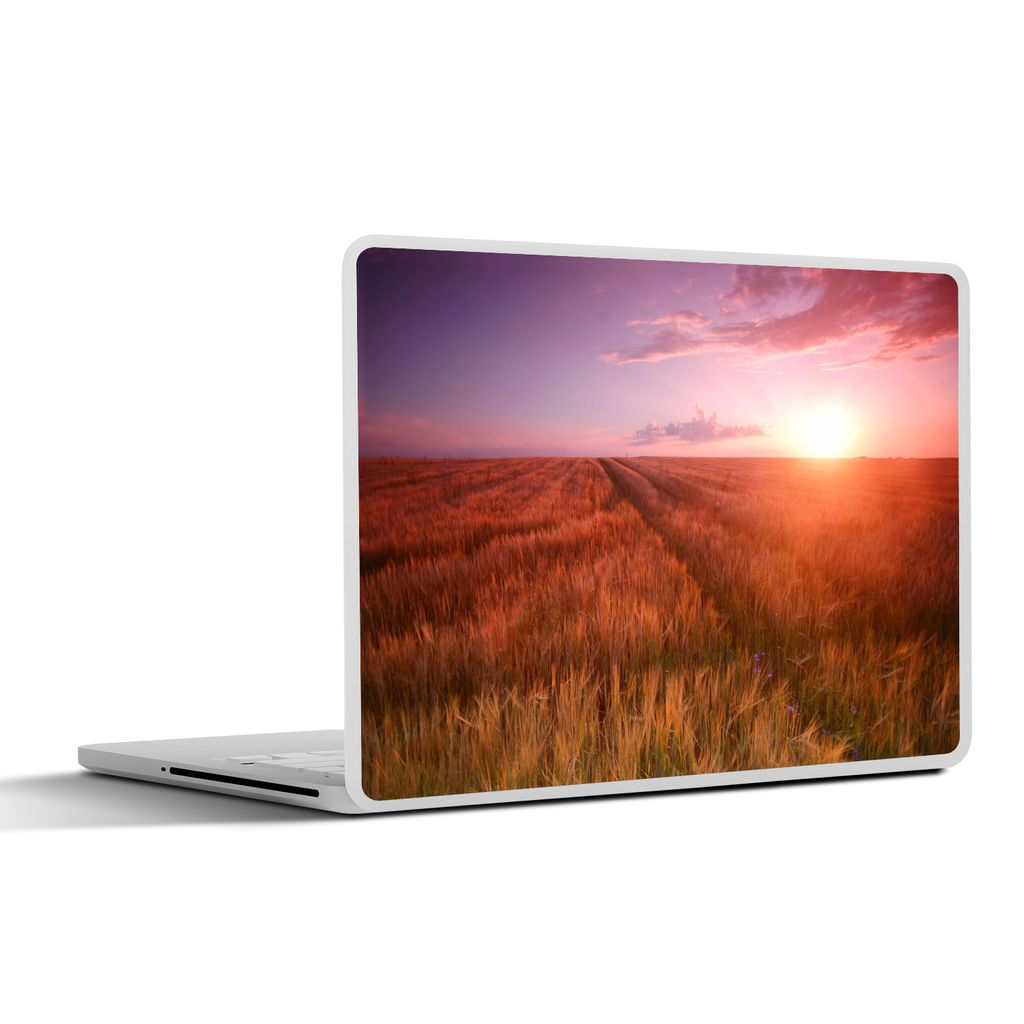 MuchoWow Laptop Aufkleber Sticker Cover Wiese - Sonne - Abend - Landschaft 30x21 cm - Sticker für Laptop - Selbstklebend