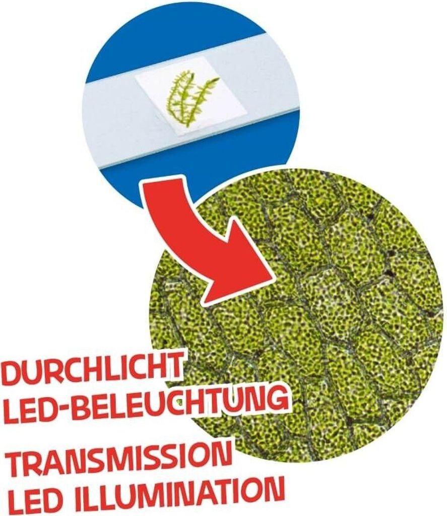 Mikroskop BRESSER JUNIOR 40x-640x lila Obrázek produktu 13