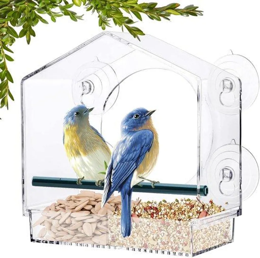 Mangeoire oiseaux pour balcon et fenêtre, vue panoramique transparente