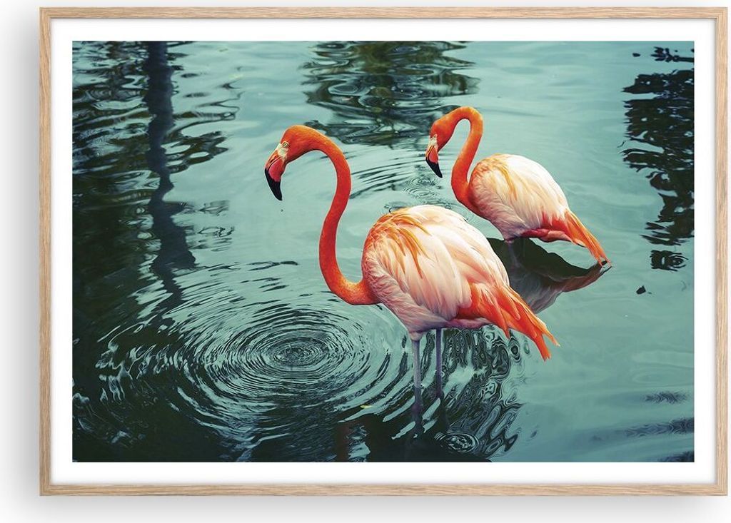 Gerahmtes Poster - Rahmen in heller Eiche - Rosa Flamingos Wasser - 100x70 cm - Wand Bild - Wanddeko - Wandbilder - Wandposter - Bilderrahmen - Bil...