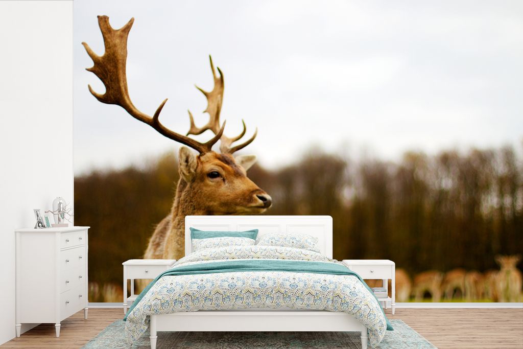 MuchoWow Fototapete für Wohnzimmer oder Schlafzimmer Wandtapete Vinyl Motivtapete Damhirsch - Wald - Herde - Tiere - Natur - 450x300 cm - Gemust...