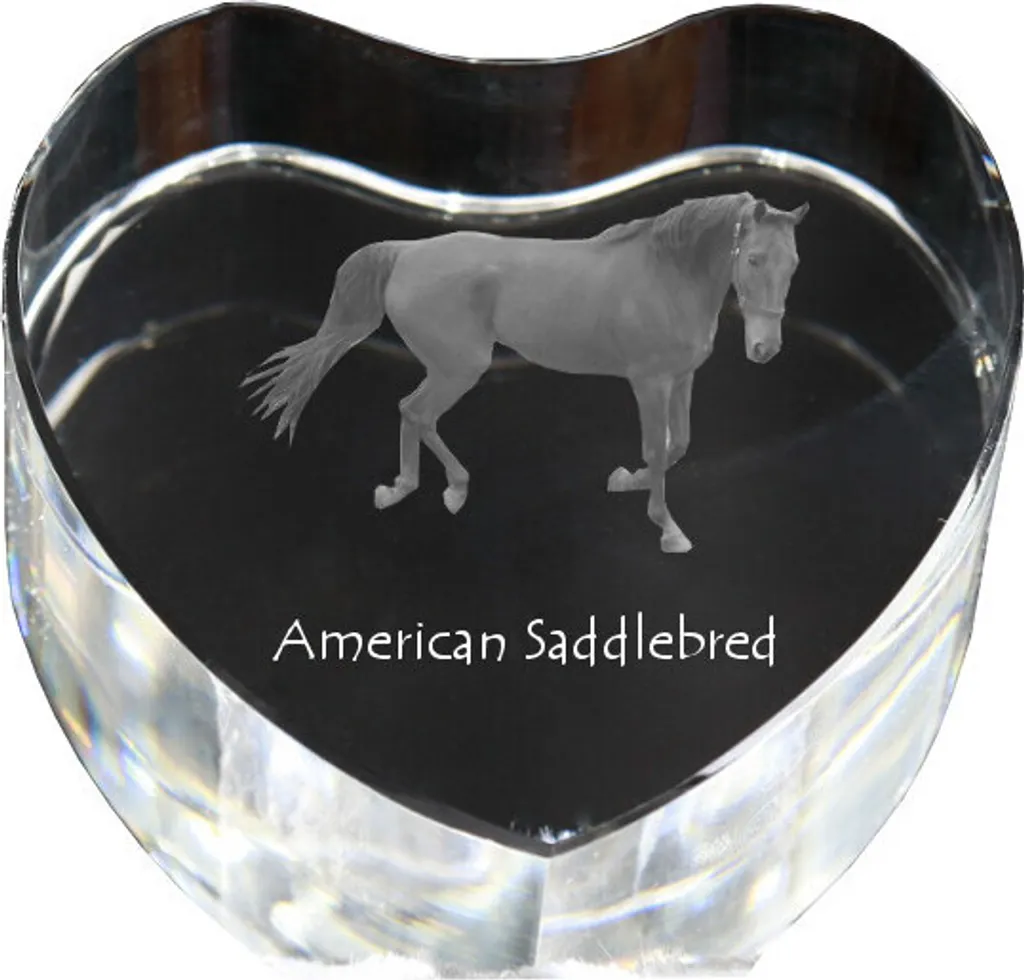 Cristal avec Photo de Cheval Américain de Selle et Cœur - Cadre Unique