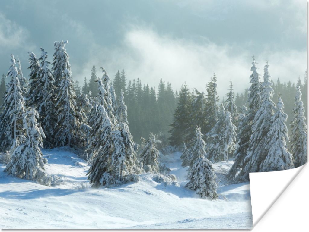 MuchoWow Poster Wald - Schnee - Winter 160x120 cm - Foto Plakat