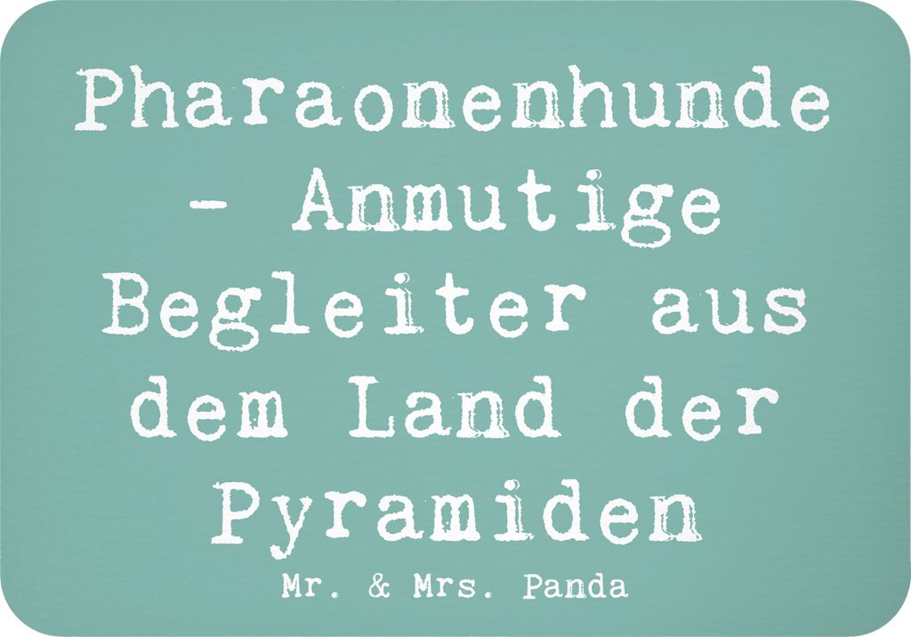 Mr. & Mrs. Panda magnet Spruch Pharaonenhund Freunde - Meeresbrise - Geschenk, holzmagnet, Azawakh, pflegeleichter Hund, büromagnet, Hunderasse, H...