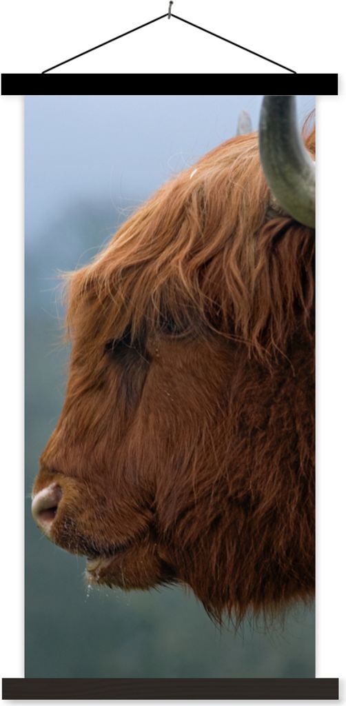 MuchoWow Textilposter Schottische Hochlandrind - Tiere - Nebel 60x120 cm mit schwarzem Rahmen - Magnete