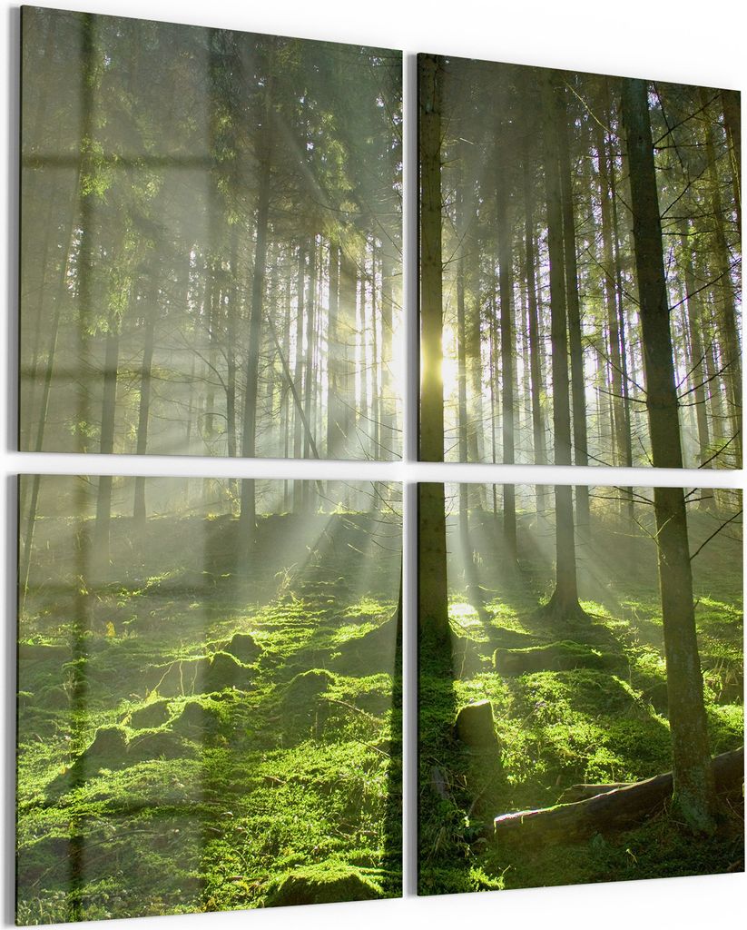 DEQORI Glasbild Echtglas 4x50x50 cm 'Waldlichtspiele' Wandbilder XXL groß