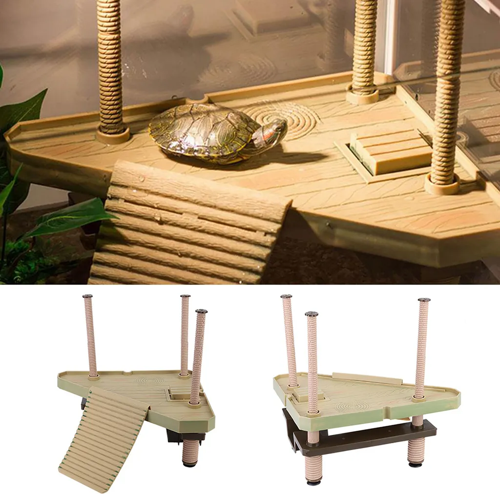 Aire de Bronzage pour Tortue d'Eau : Plate-forme Solaire avec Rampe Accès