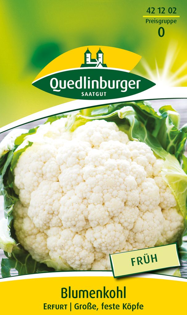 Quedlinburger Saatgut - Blumenkohl Erfurt - Samen - 421202 Produktbild 
