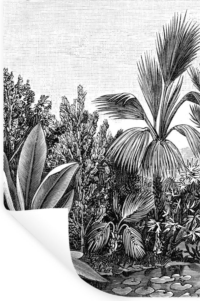 MuchoWow Wandtattoo Wandsticker Wandaufkleber Pflanzen - Natur - Gestaltung - Illustration - Ernst Haeckel 60x90 cm Selbstklebend und Repositioni...