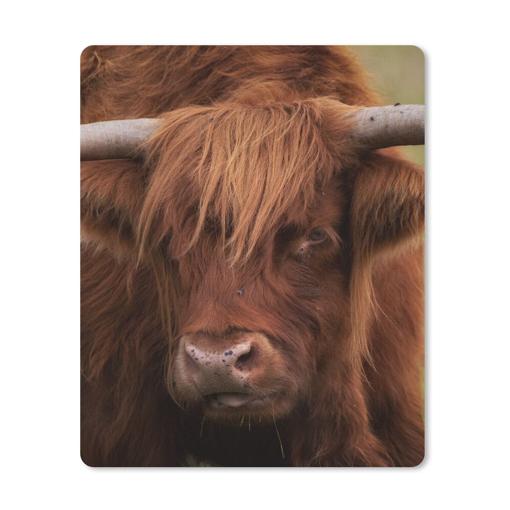 MuchoWow Mauspad Mousepad Schottischer Highlander - Orange - Tiere 19x23 cm - Mousepads - Maus Mat - Pad - Mausunterlage - Mauspads - Spielen