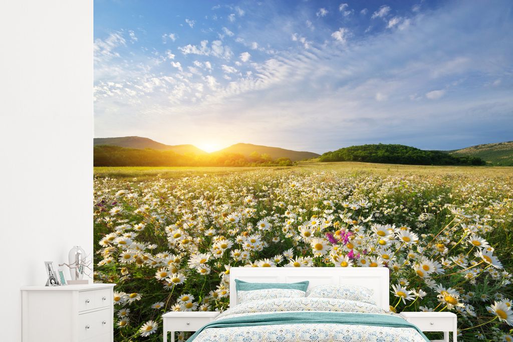 MuchoWow Fototapete für Wohnzimmer oder Schlafzimmer Wandtapete Vinyl Motivtapete Gänseblümchen - Sonne - Frühling - 245x220 cm - Gemustert