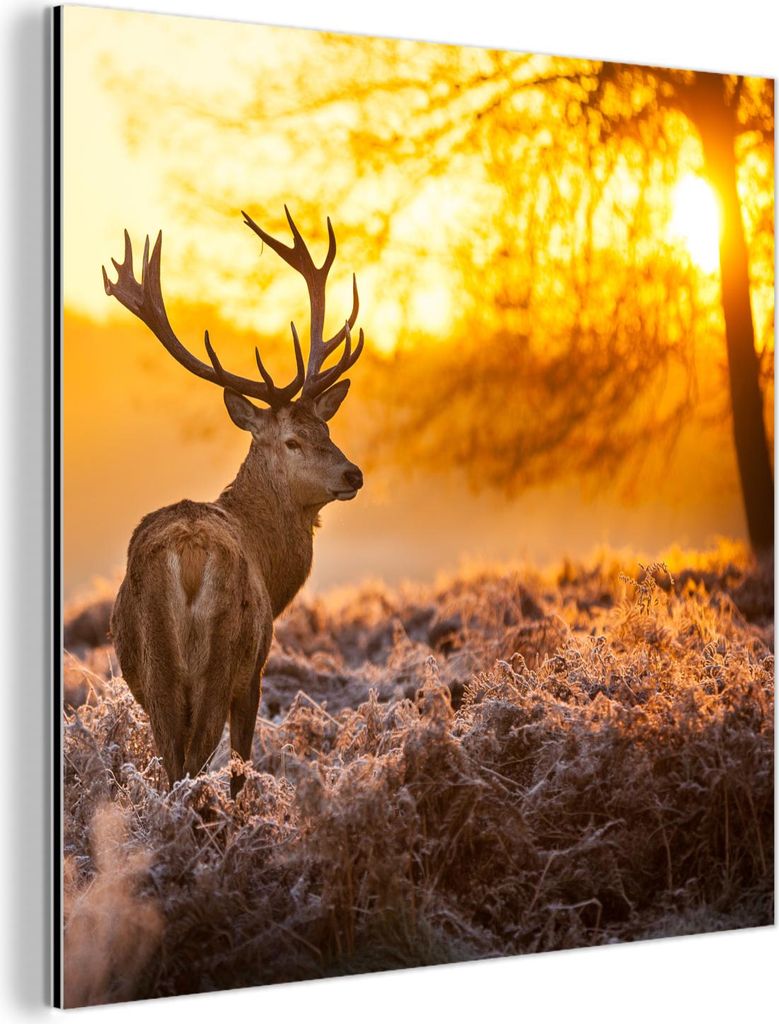 MuchoWow Wanddekoration Metall Metallbild Wandkunst 20x20 cm Hirsche - Tiere - Sonnenuntergang - Winter - Heidekraut - Natur MuchoWow Aluminium Gem...