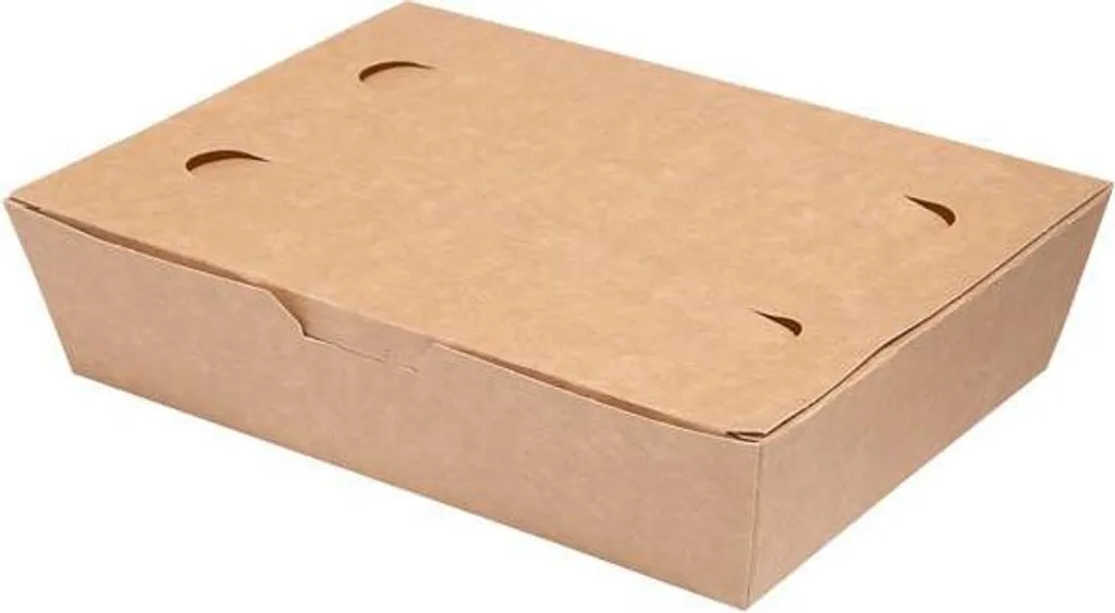 Boîte alimentaire pour vente à emporter 20x14x5 cm lot professionnel